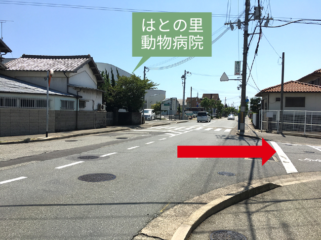 アクセスマップ