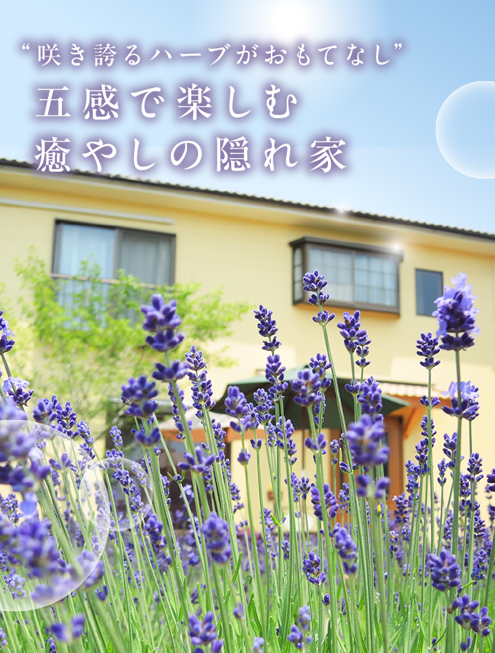 『咲き誇るハーブがおもてなし』五感で楽しむ癒やしの隠れ家